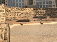 ihlastur hac tur galeri resimleri (8).jpg